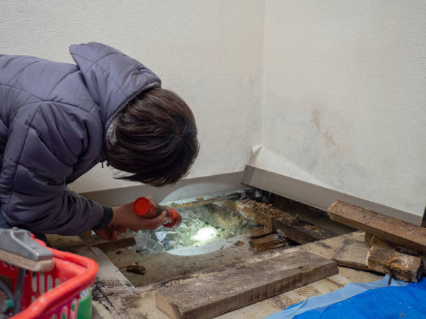 Best Post-Construction Mold Inspection  in Ocean Pines, MD