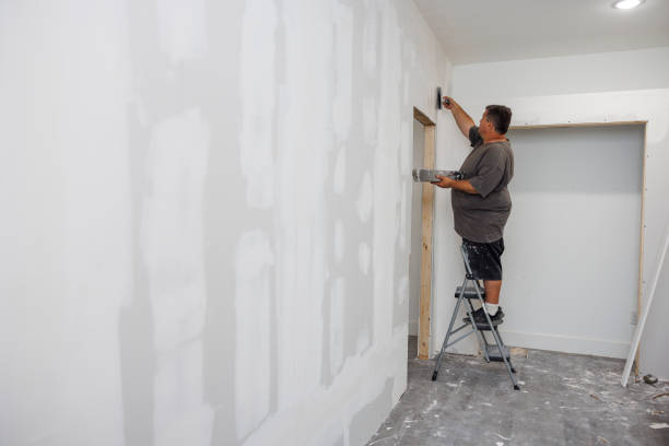 Best Black Mold Removal  in Ocean Pines, MD