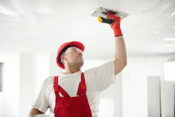 Best Commercial Mold Inspection  in Ocean Pines, MD