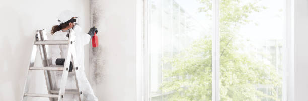 Best Comprehensive Air Testing for Mold Contaminants  in Ocean Pines, MD