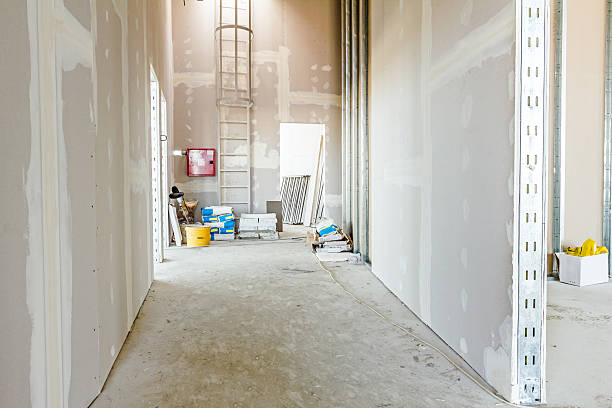 Best Real Estate Mold Inspection  in Ocean Pines, MD